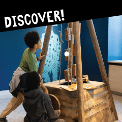 Discover interactive