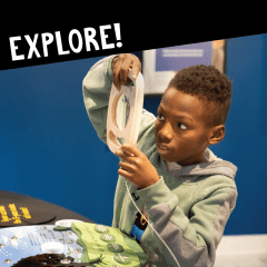 Explore interactive