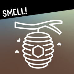 Smell