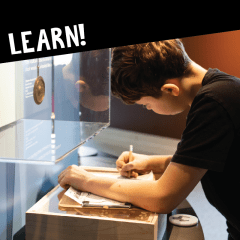 Learn interactive
