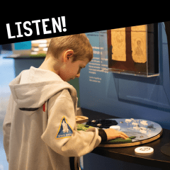 Play interactive