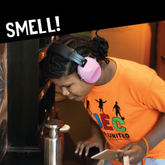 Smell interactive